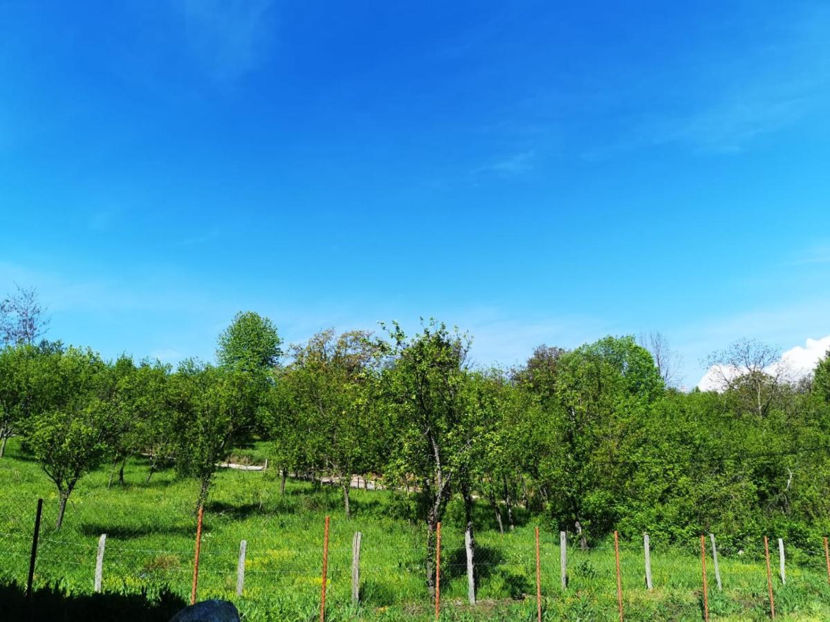 Casuta Din Gradina Villa Horezu Luaran gambar