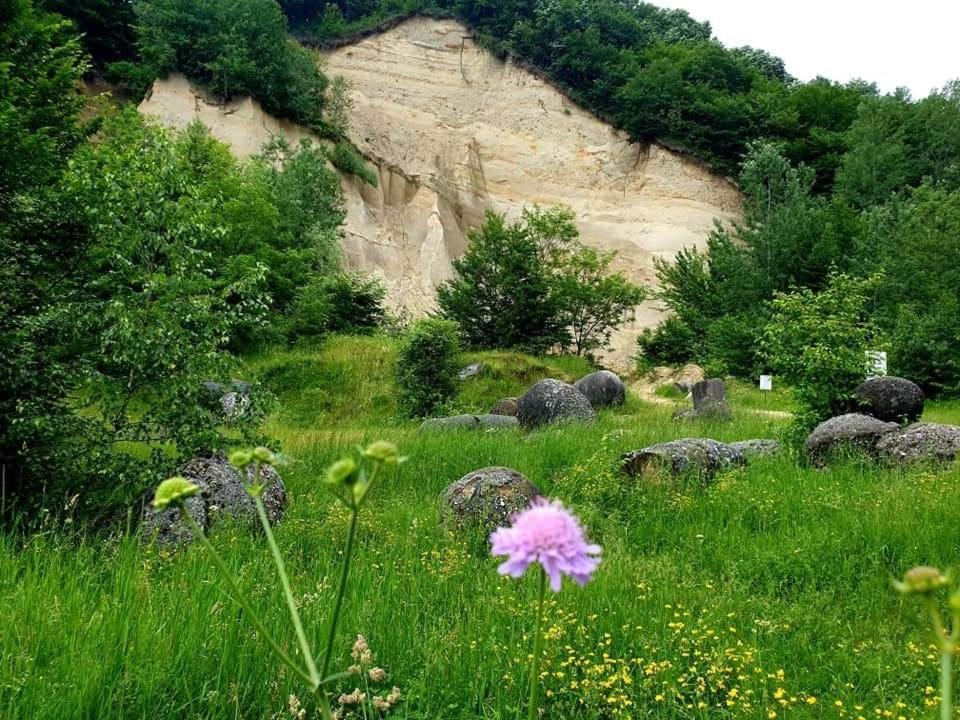 Casuta Din Gradina Villa Horezu Luaran gambar